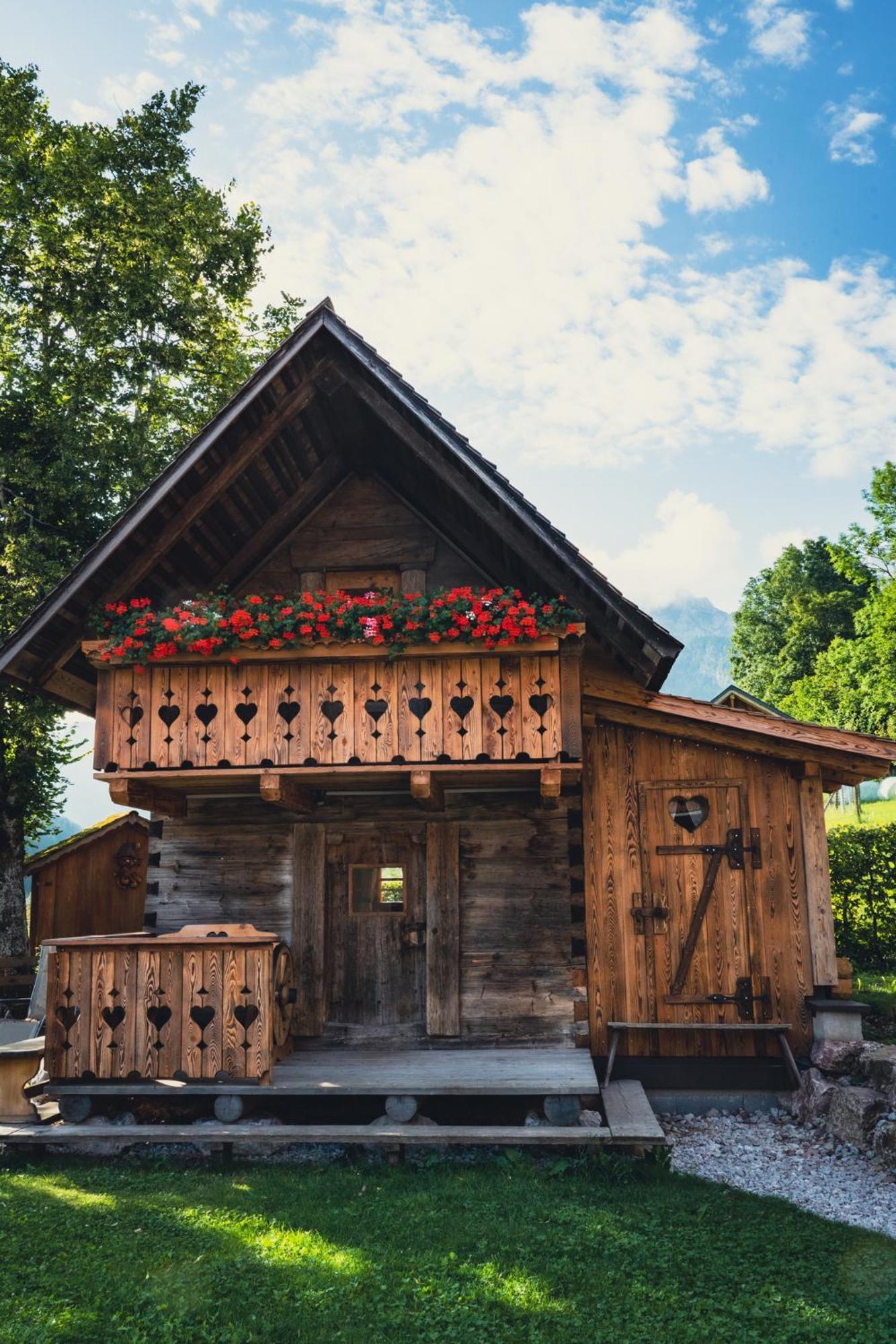 Singerskogel - Ferienhof Und Jausnstub'N Spital Am Pyhrn Exteriér fotografie