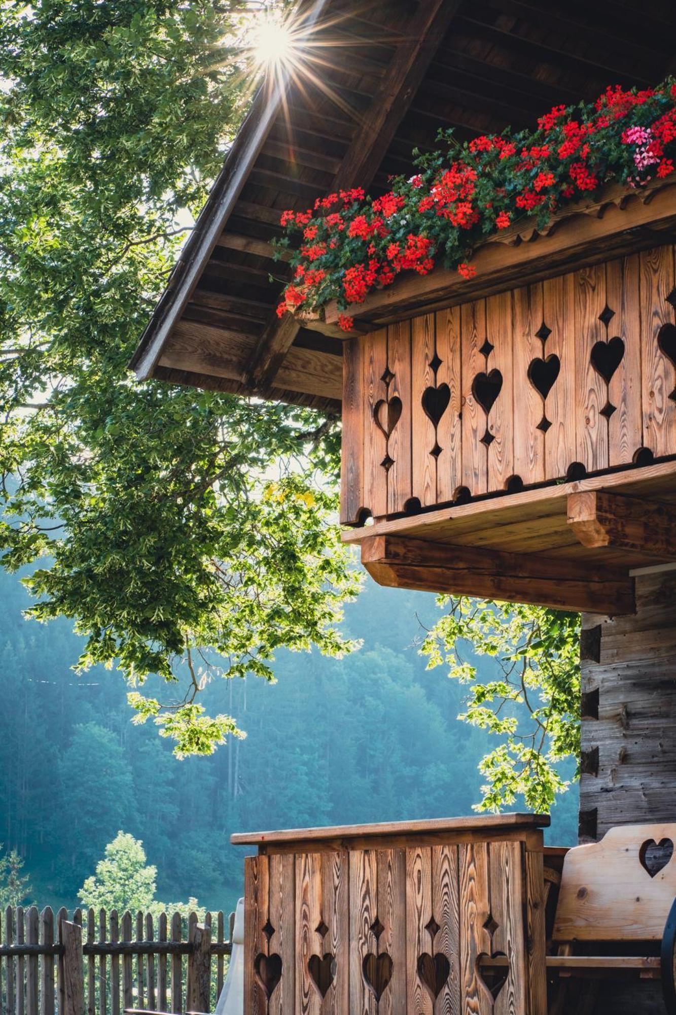 Singerskogel - Ferienhof Und Jausnstub'N Spital Am Pyhrn Exteriér fotografie