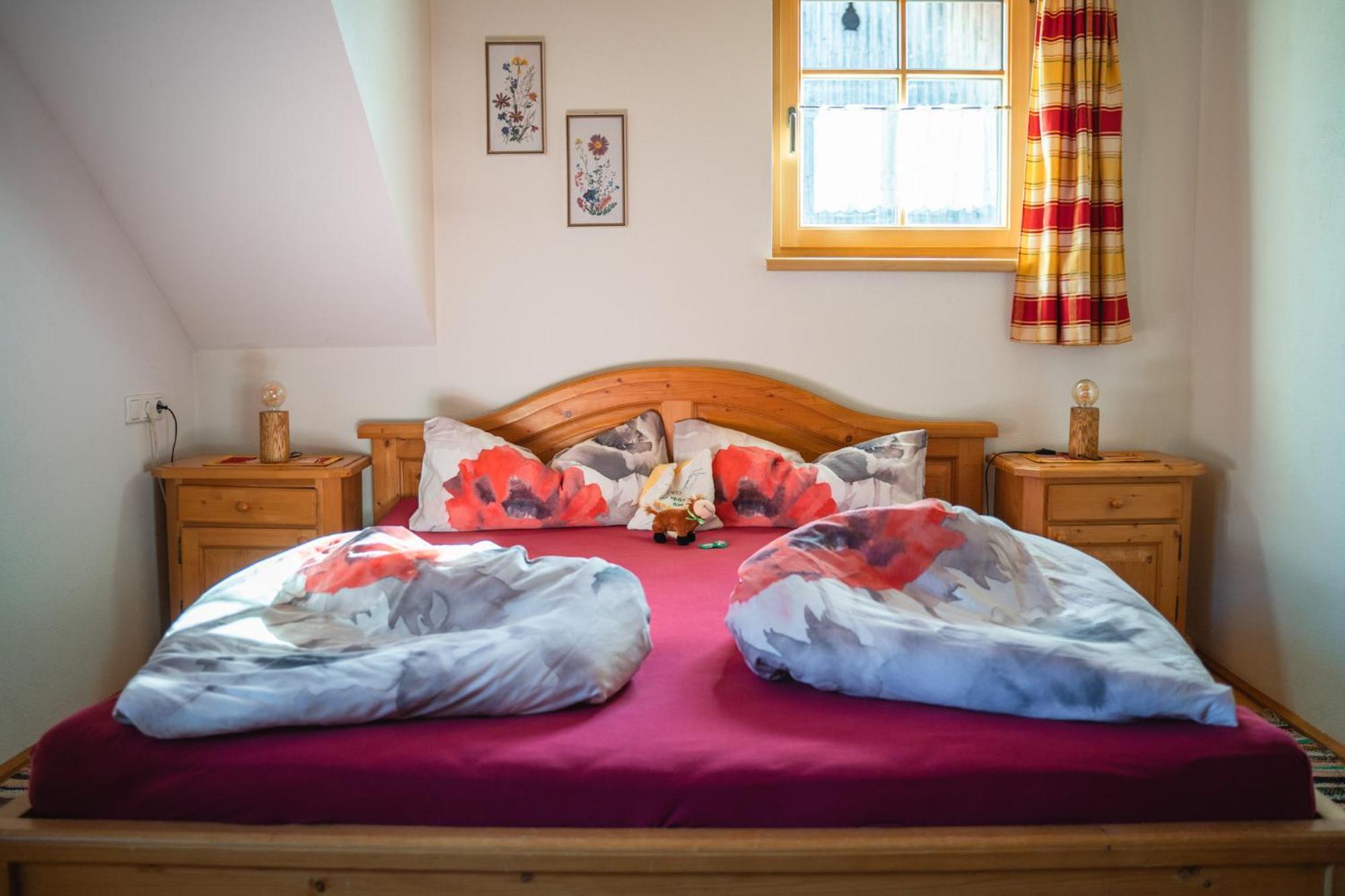 Singerskogel - Ferienhof Und Jausnstub'N Spital Am Pyhrn Exteriér fotografie
