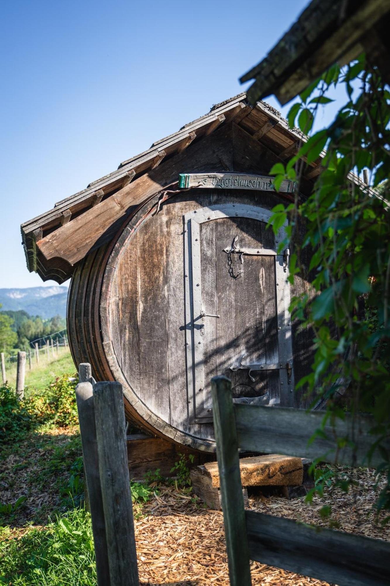 Singerskogel - Ferienhof Und Jausnstub'N Spital Am Pyhrn Exteriér fotografie