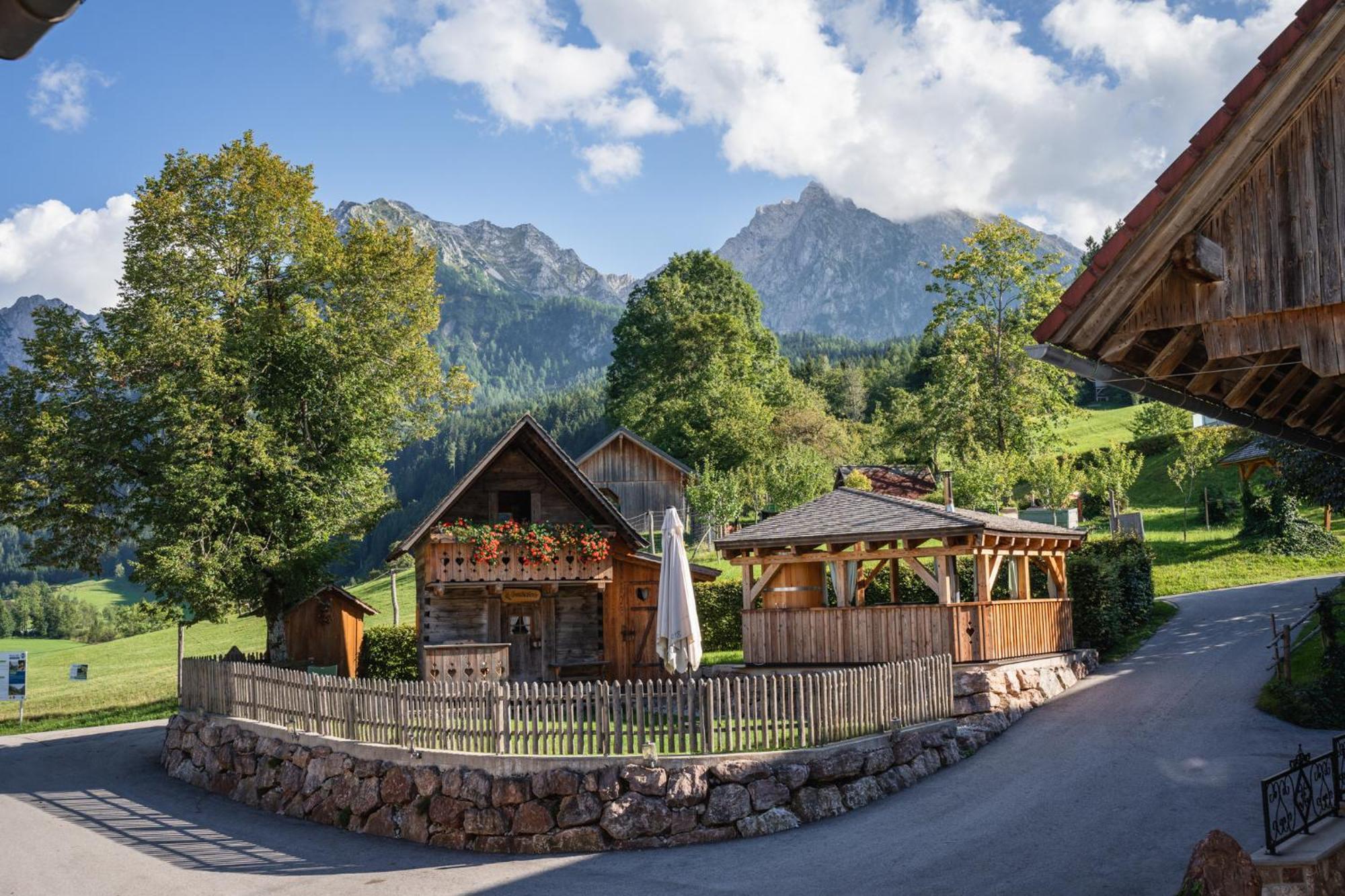 Singerskogel - Ferienhof Und Jausnstub'N Spital Am Pyhrn Exteriér fotografie