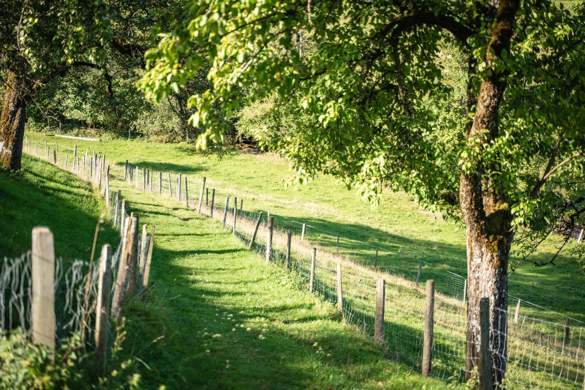 Singerskogel - Ferienhof Und Jausnstub'N Spital Am Pyhrn Exteriér fotografie