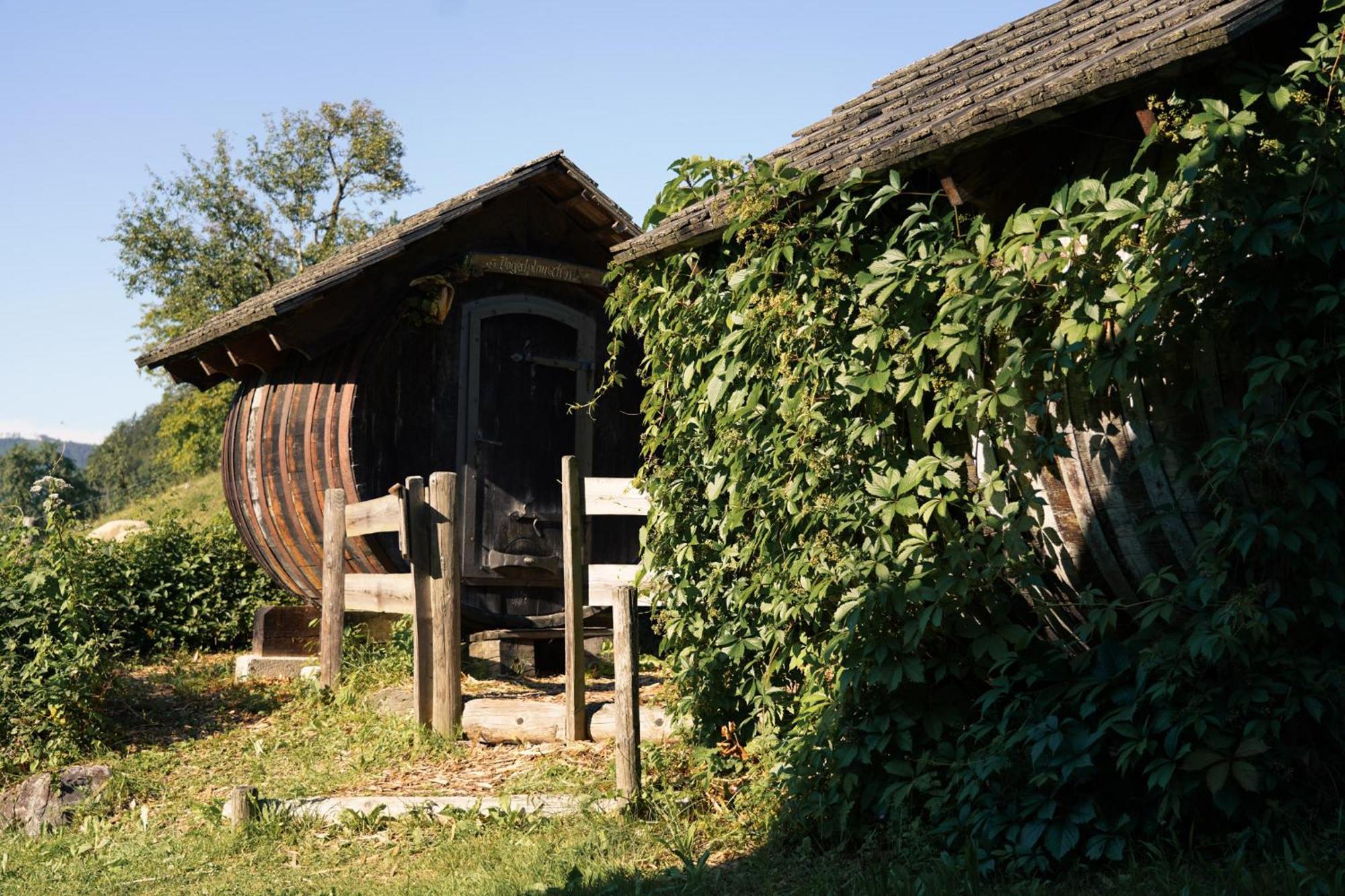 Singerskogel - Ferienhof Und Jausnstub'N Spital Am Pyhrn Exteriér fotografie