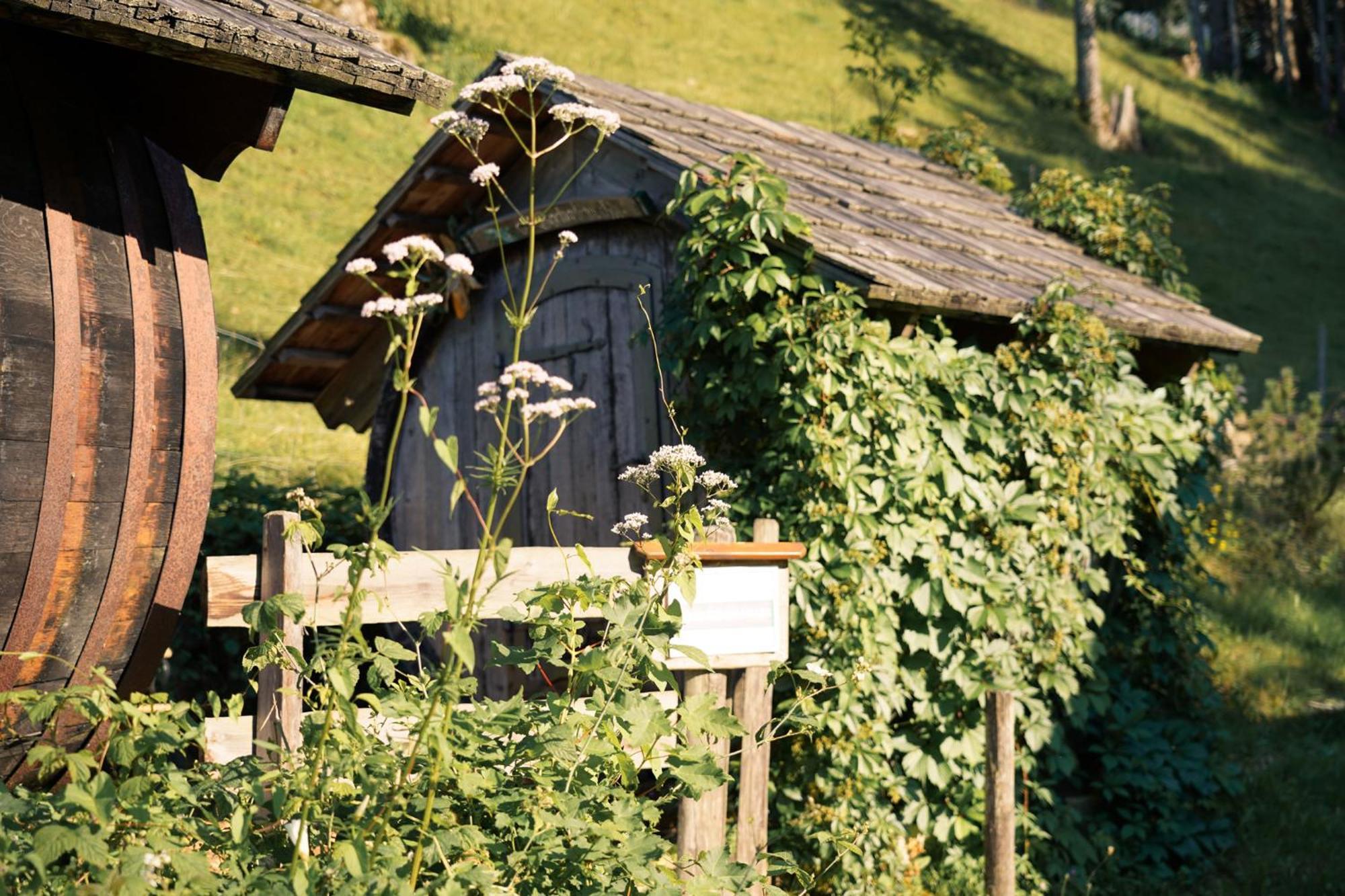 Singerskogel - Ferienhof Und Jausnstub'N Spital Am Pyhrn Exteriér fotografie