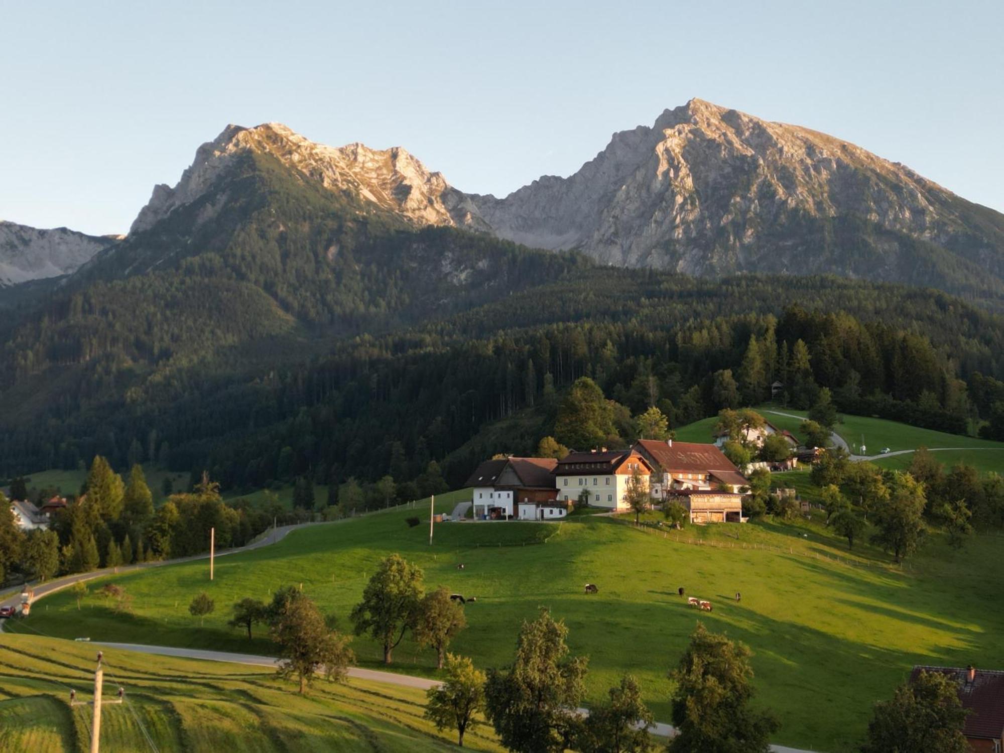 Singerskogel - Ferienhof Und Jausnstub'N Spital Am Pyhrn Exteriér fotografie