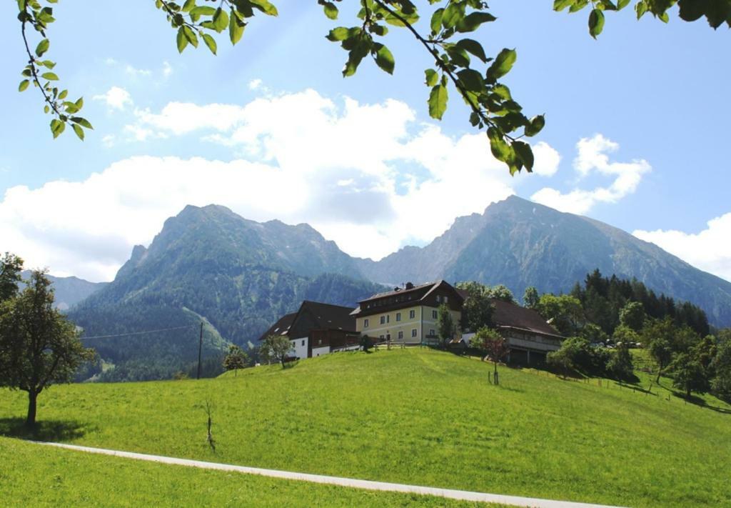 Singerskogel - Ferienhof Und Jausnstub'N Spital Am Pyhrn Exteriér fotografie