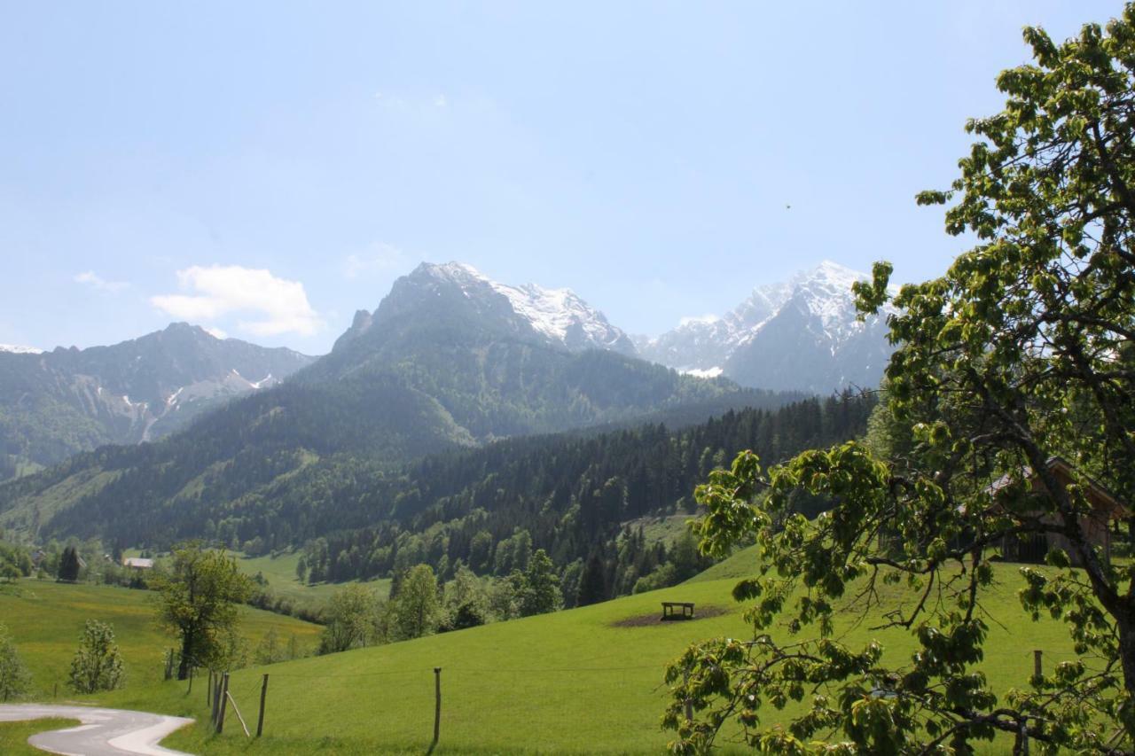 Singerskogel - Ferienhof Und Jausnstub'N Spital Am Pyhrn Exteriér fotografie